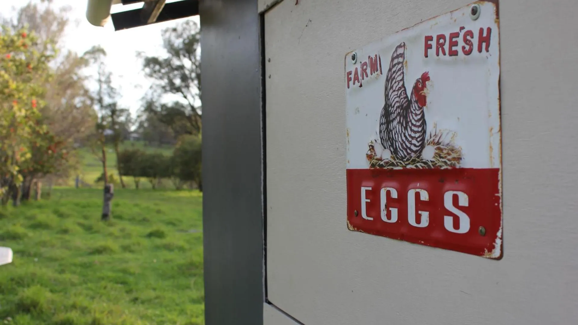 Bryn Glas Farm Stay Moruya