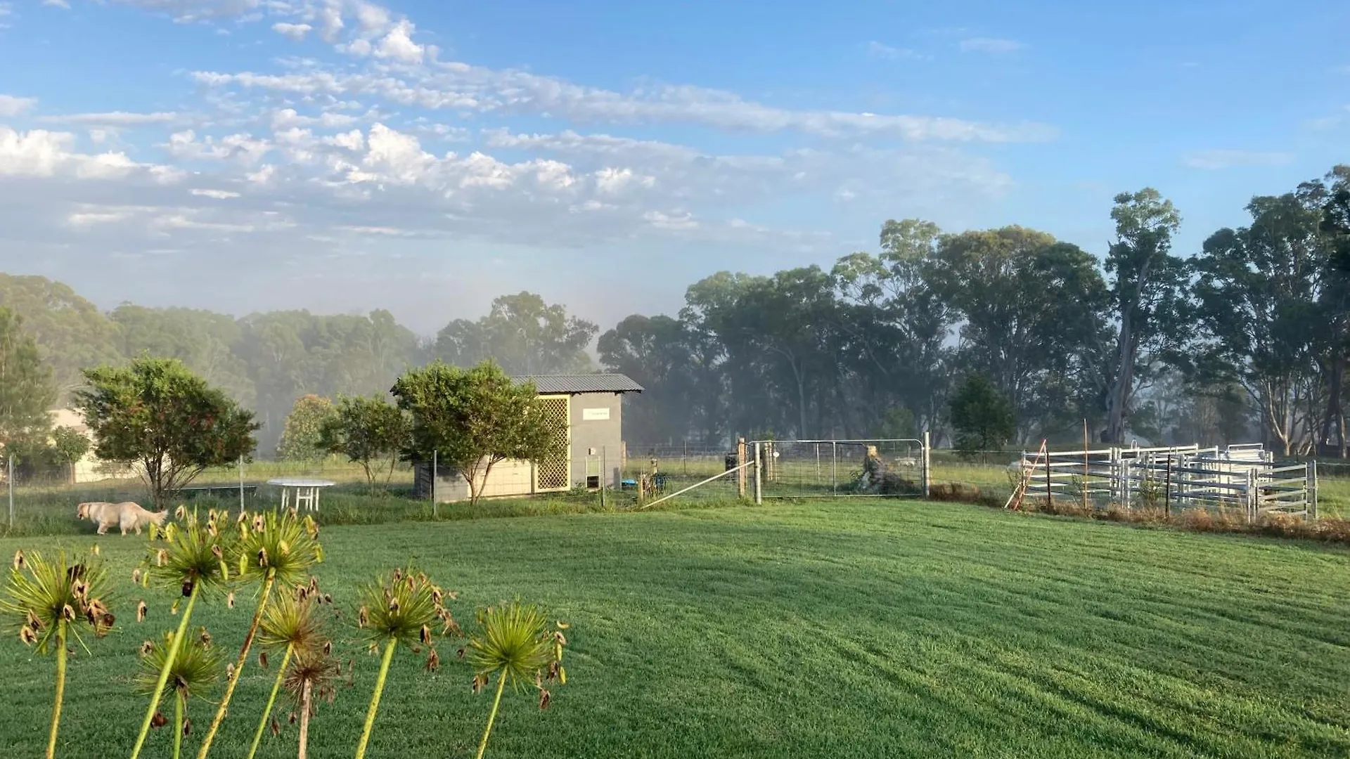 Bryn Glas Farm Stay Moruya