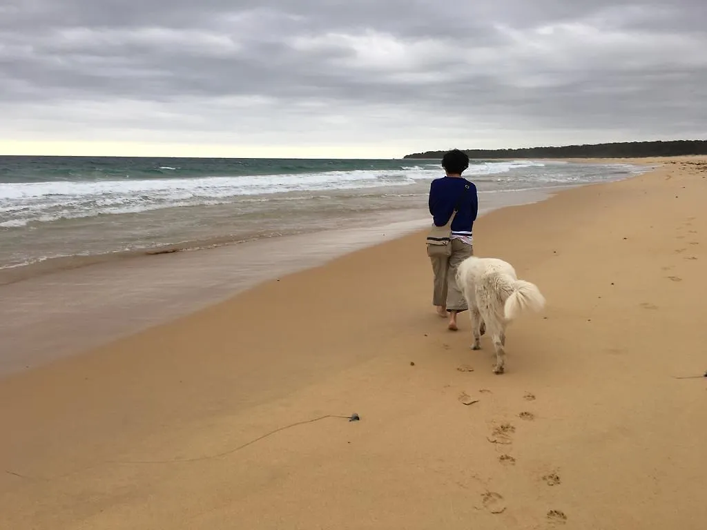 Bryn Glas Farm Stay Moruya Australia